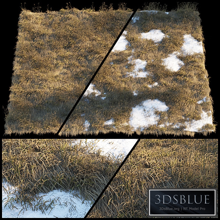 Dry grass | Thaw pollen