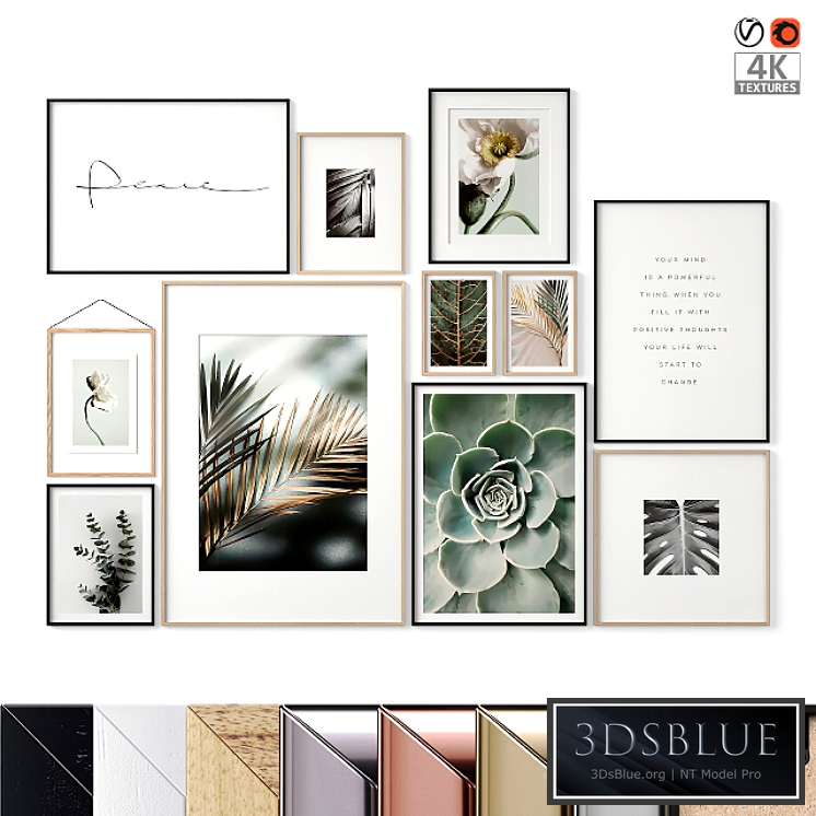 Картины растения