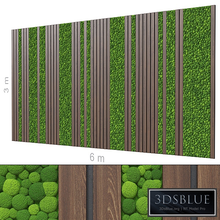 Decorative wall 205.