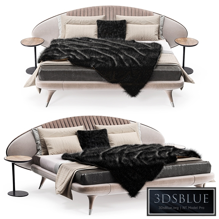 Princess bed visionaire