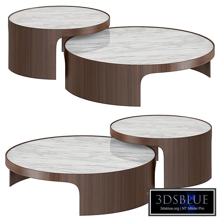 Coffe table by Smriti Sawhney