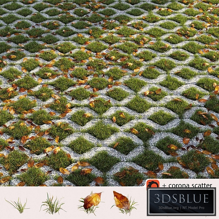 Grass in the square brick