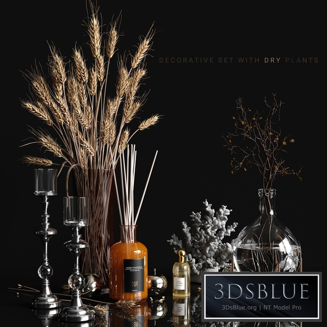 Decorative set with dry plants