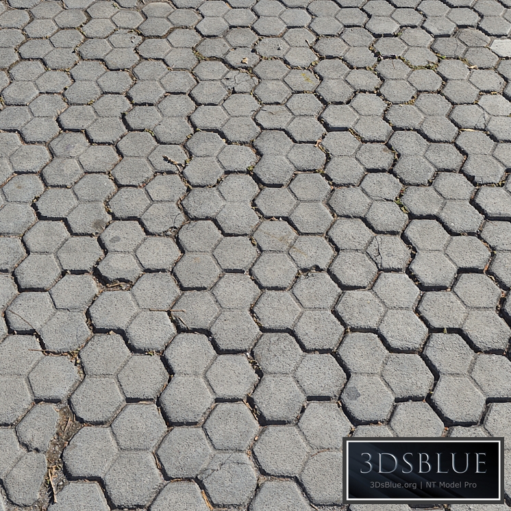Pavement tiles_7