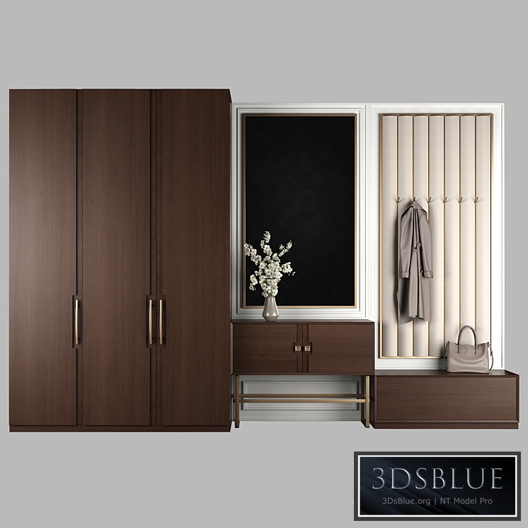 Furniture composition for hallway 65