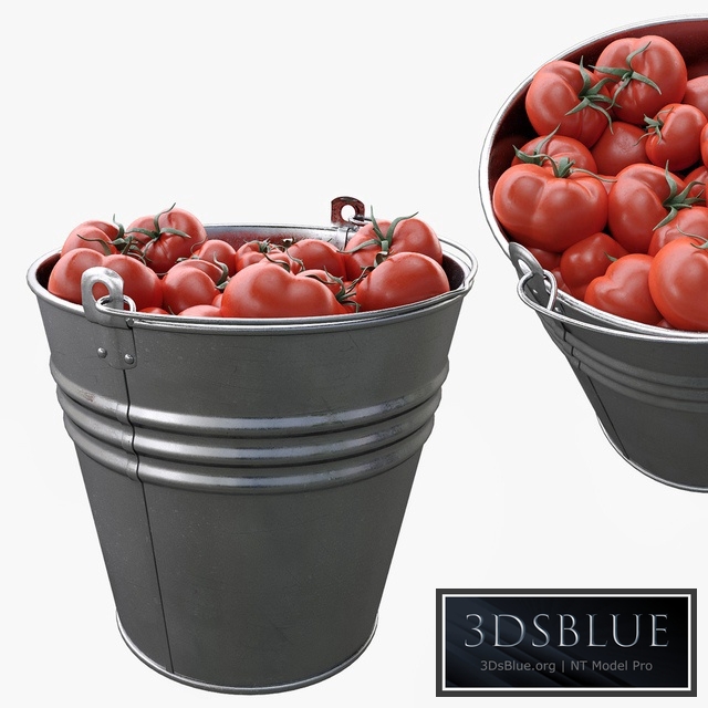 Bucket with tomatoes