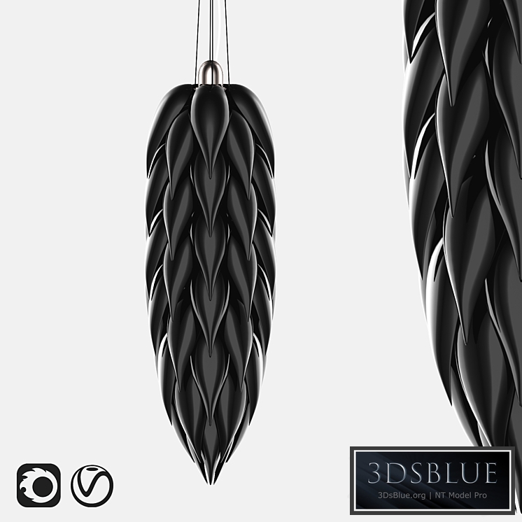 Jeremy Cole Aloe Shoot