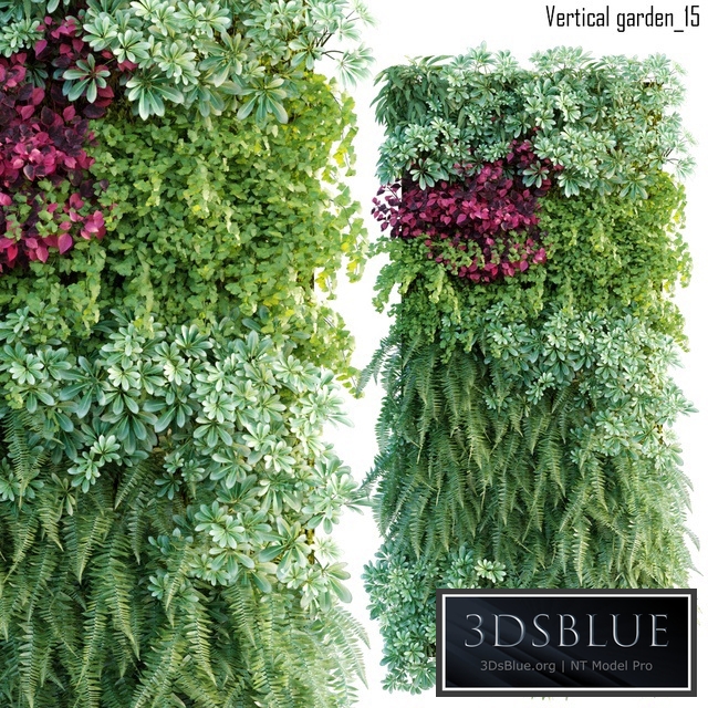Vertical garden 15