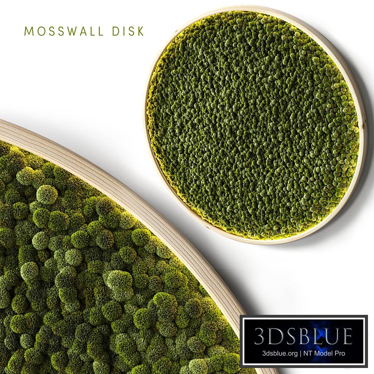 Mosswall disk 2