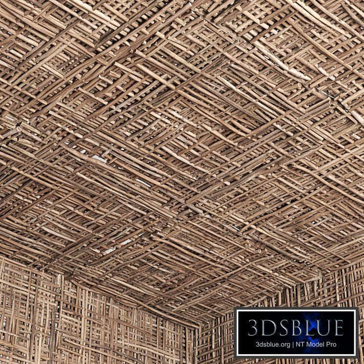 Bramch ceiling / The ceiling of the branches number 2