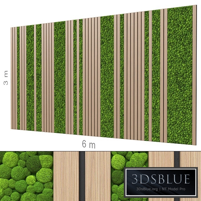 Decorative wall 224.