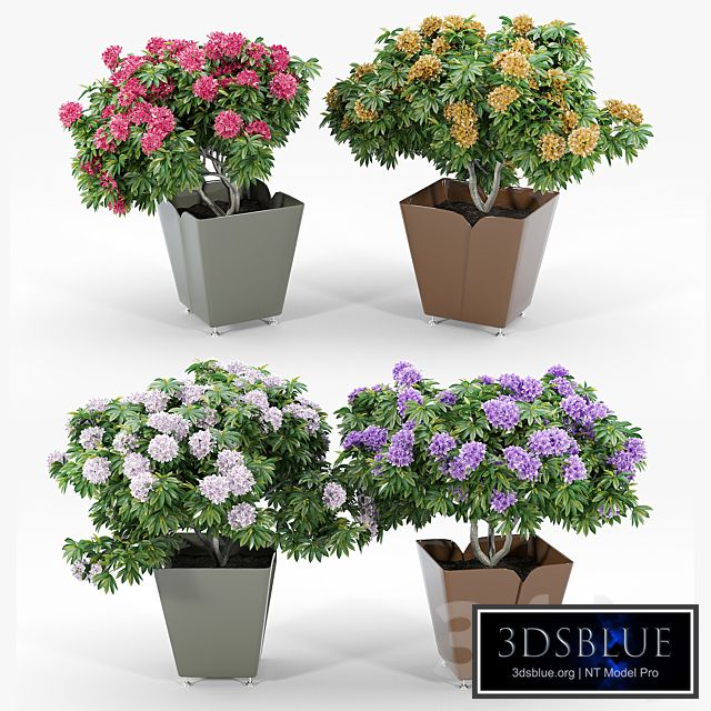 ADDICTED II BY AGENCE AKÏRO CYRIA