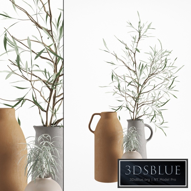 Olive & rosmarinus branch