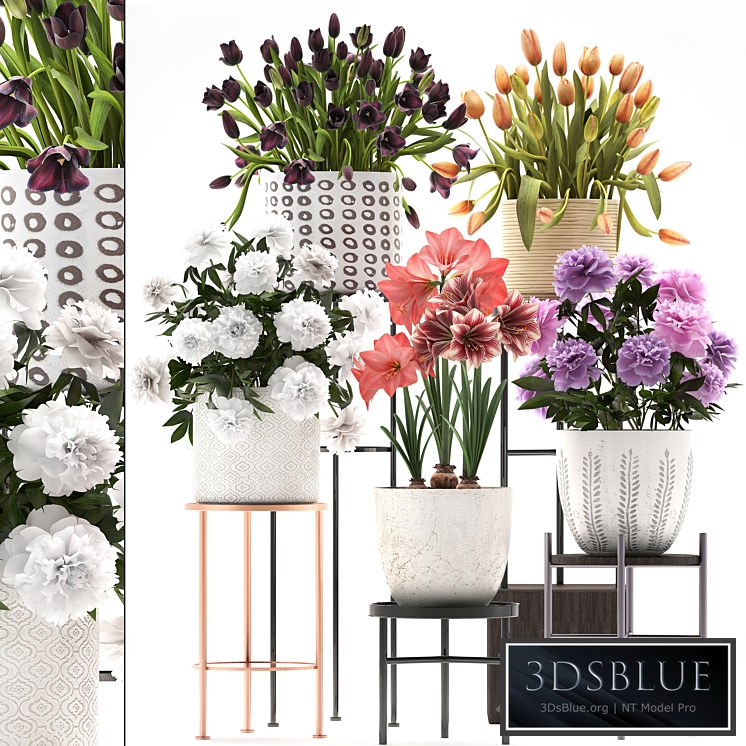 335 plant collection. Stand, Peony, Tulip, Hippeastrum, bouquet set, garden flowers, flower shelf, stand, Scandinavian style