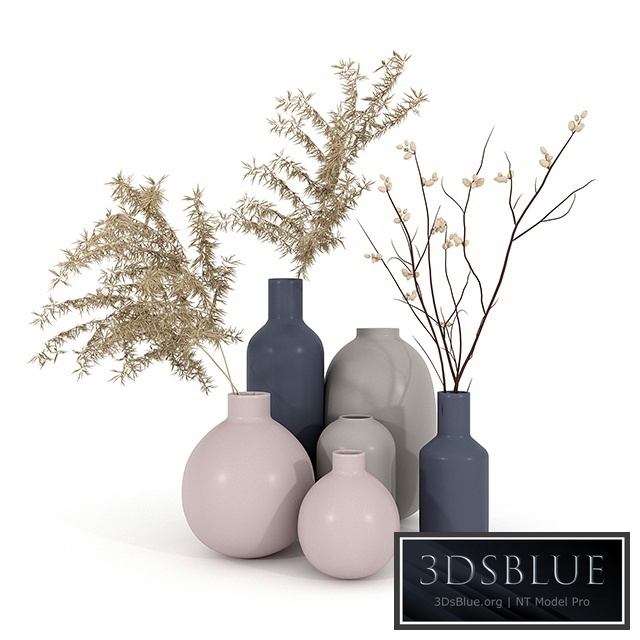 Set vaz h & m with dried flowers