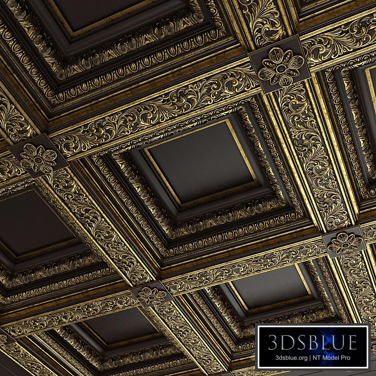 Caisson ceiling Rodin