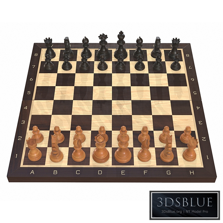 Chess board game pieces