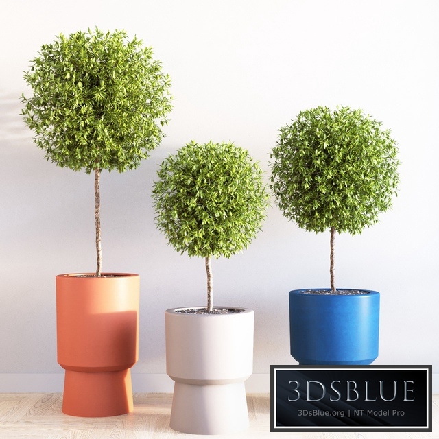 Bishop pedestal planters