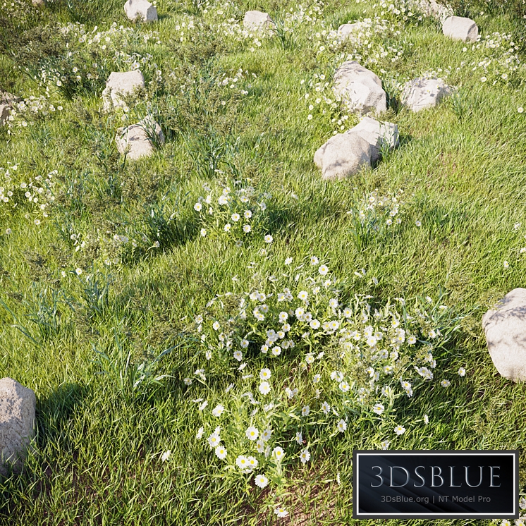 grass_for_landscaping_set02