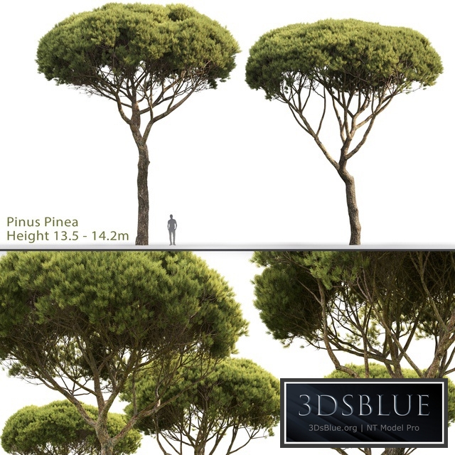 2482450.5d223b0f686af