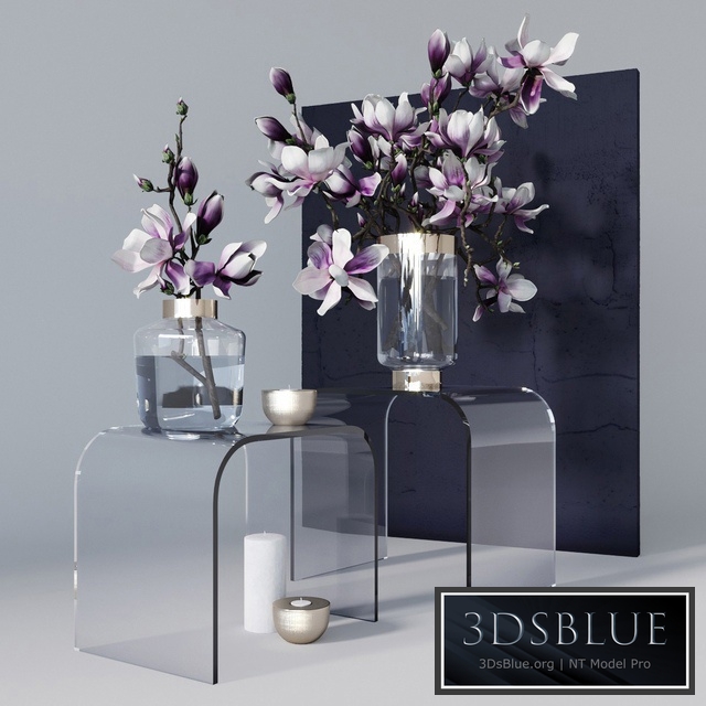 Decorative set with magnolia