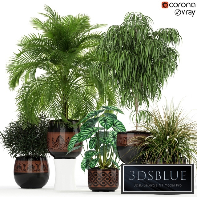 Collection of Minimalist Chandelierdư