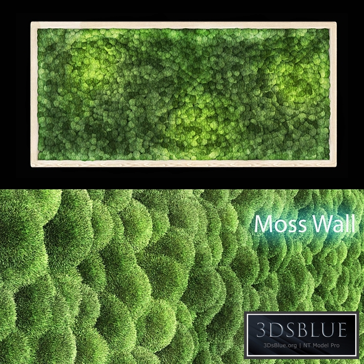 moss wall