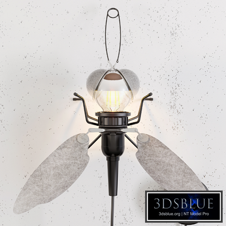 Oligo mademoiselle filou