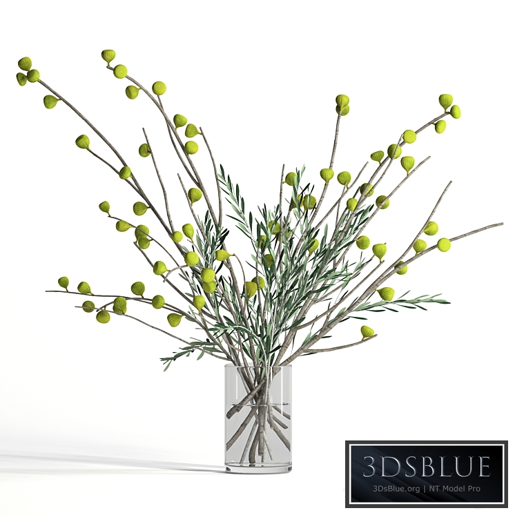 Fig and olive branches