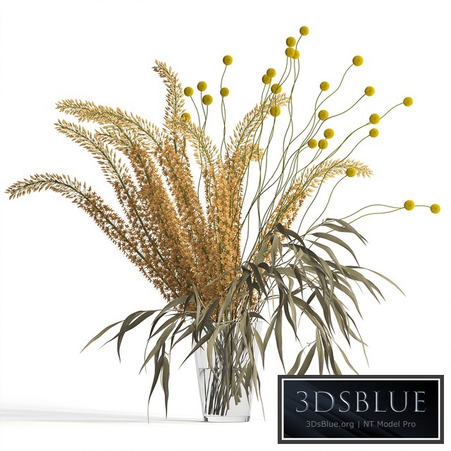 Eremurus & eucalyptus & craspedia bouquet