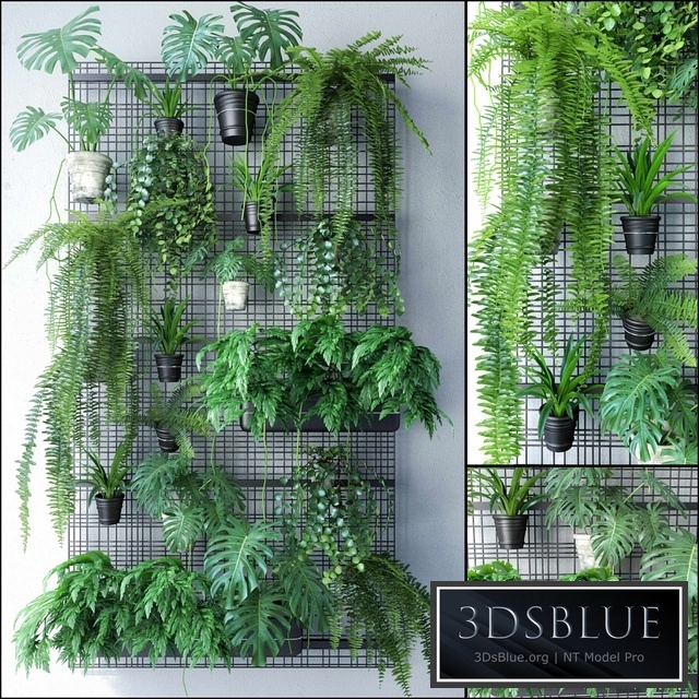 JC Wall Grid Plant Pot