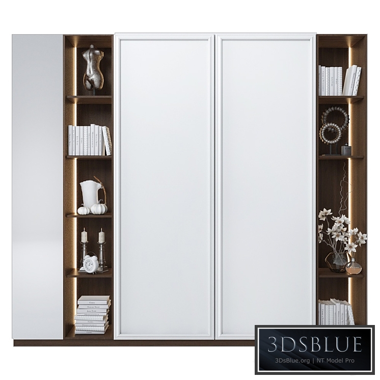 Cabinet with shelves 6