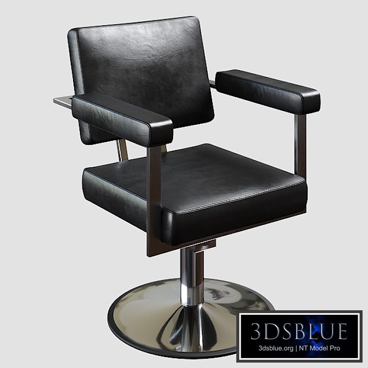 Chair hairdresser&#39;s Brut 2