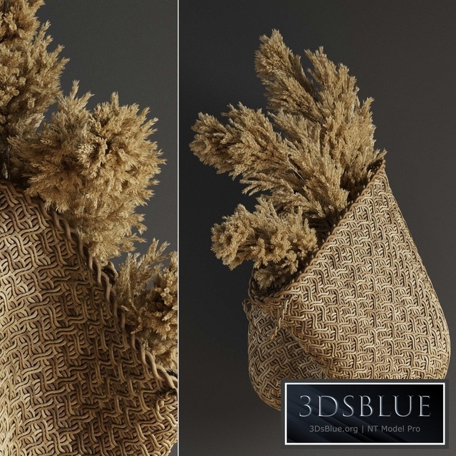 Pampas flower in hand basket