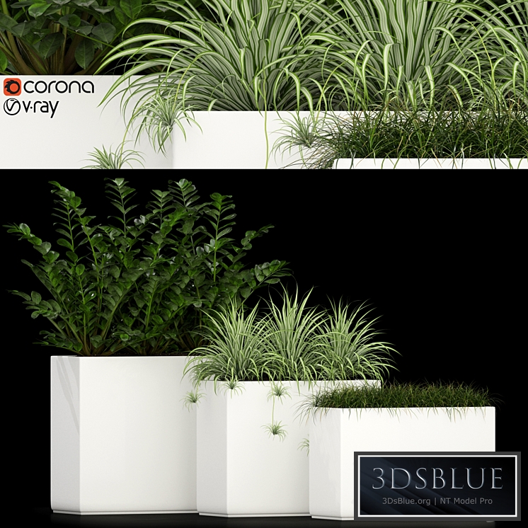 Plants collection 186