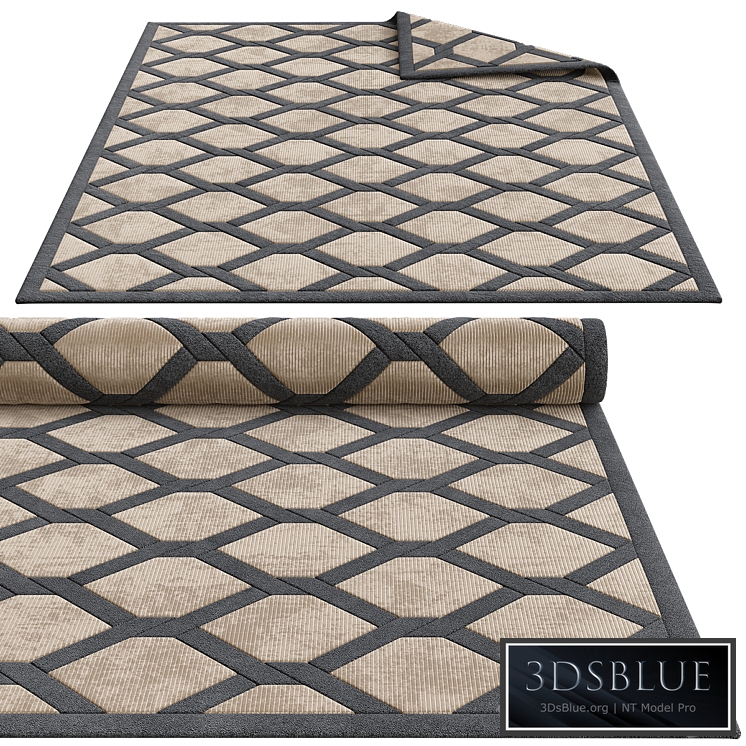 Exquisite rugs