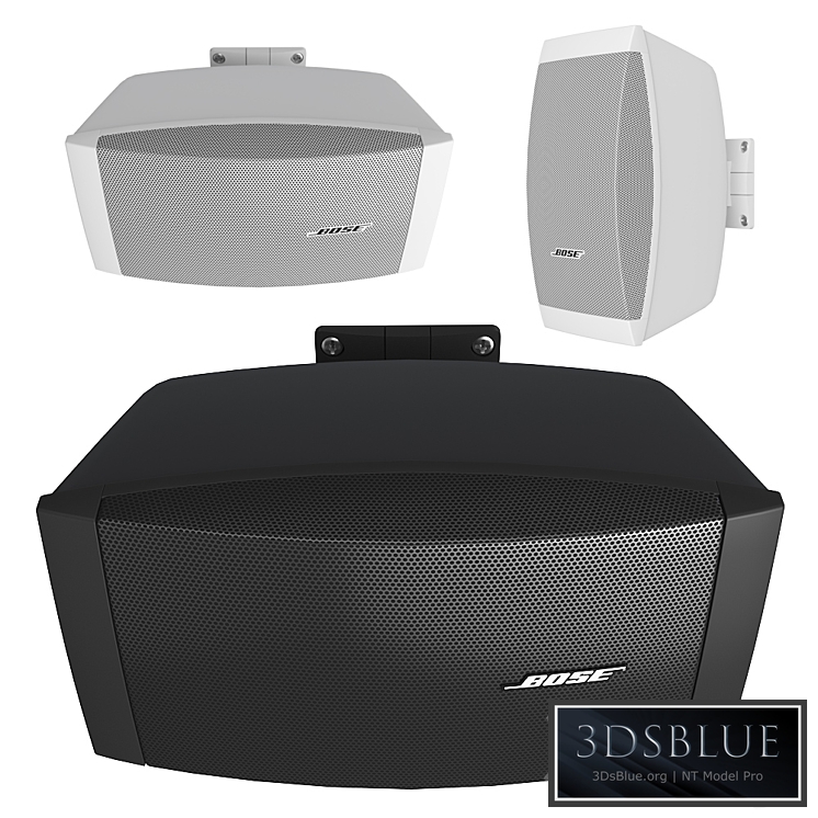 Bose FreeSpace DS40SE