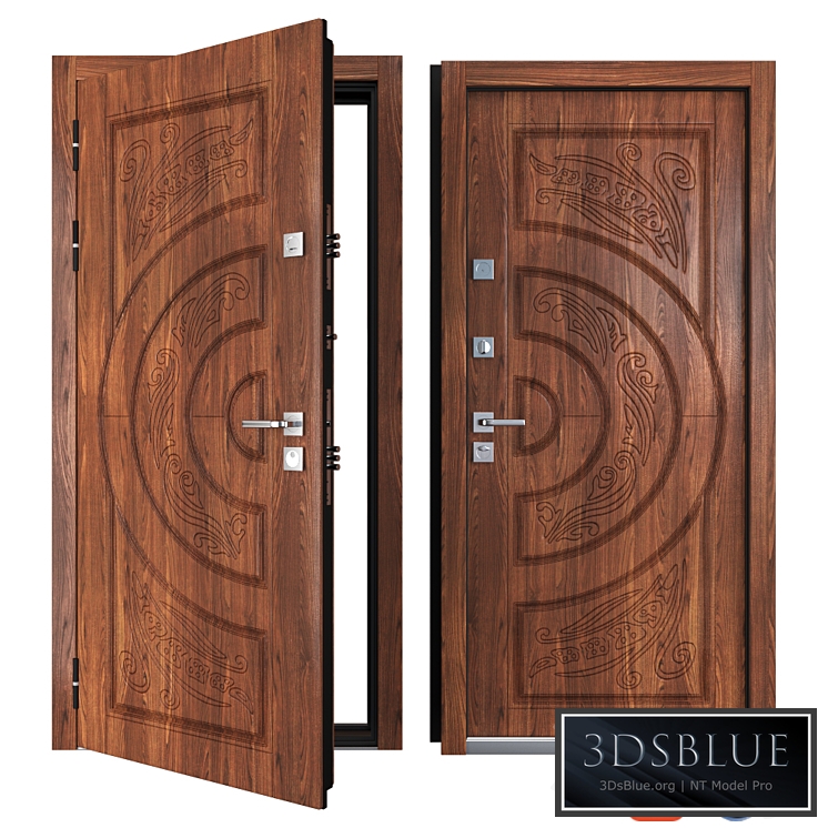 Entrance metal door of Vezha 1 (Your Frame)