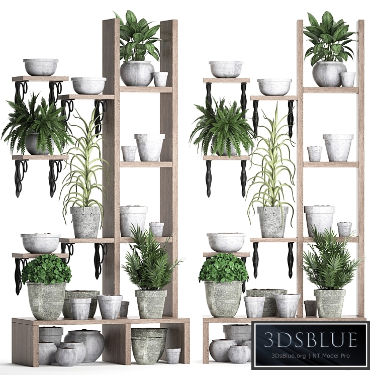 Plant Collection 365. Shelf with plants, aloe, flowerpot, greenery, vertical garden, concrete, eco design