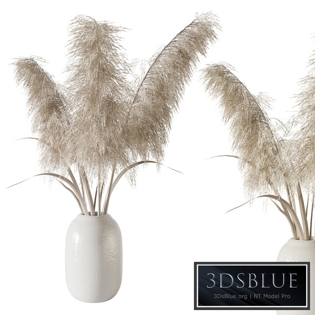 Pampas grass bouquet 