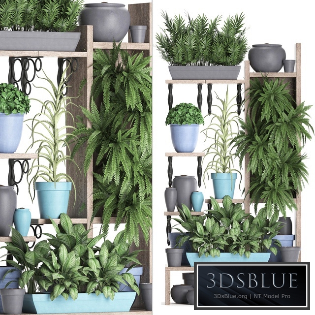 Plant Collection 367. Shelf with plants, fern, flowerpot, greenery, vertical garden, phytowall, phytomodule, pots, eco design