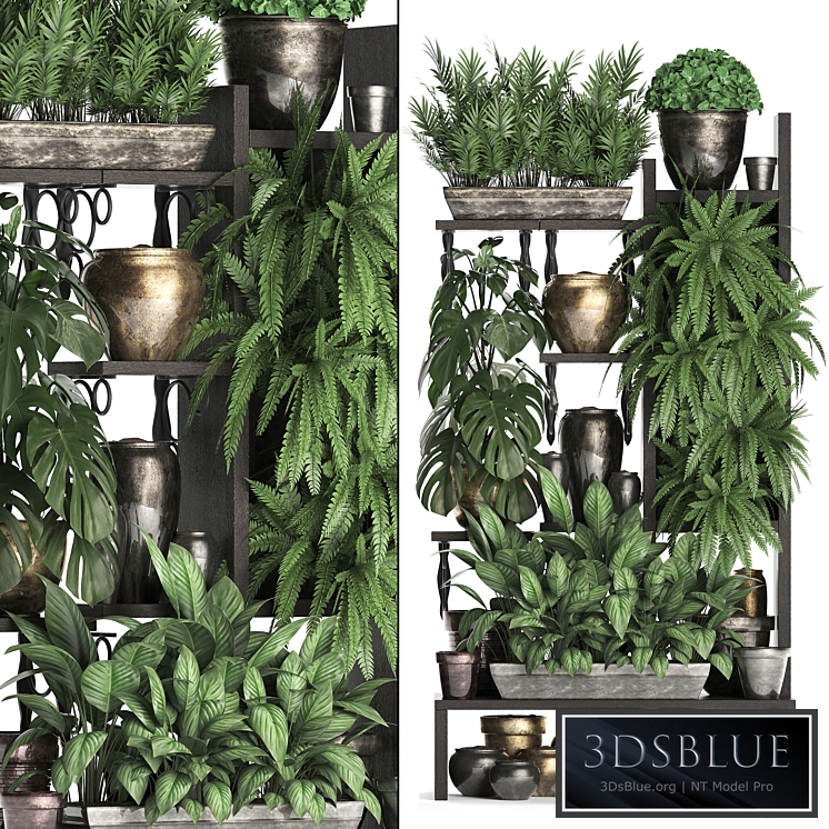 Plant Collection 368. Flower shelf, fern, monstera, flowerpot, greenery, vertical garden, phytowall, phytomodule, pots, eco design