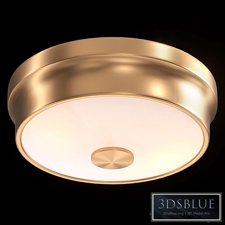 Ceiling Light Favorite Pannikin