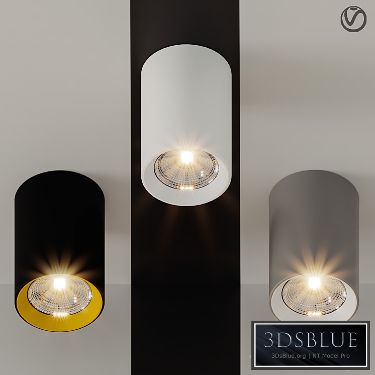 Ceiling Lamps CENTRSVET 13