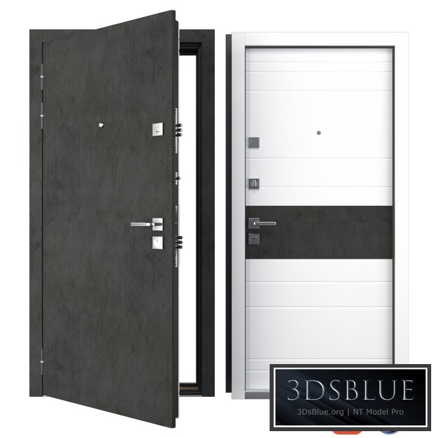 Entrance metal door Carbon (Your Frame)