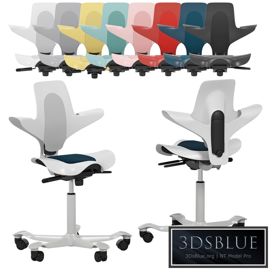 HAG Capisco Puls 8010