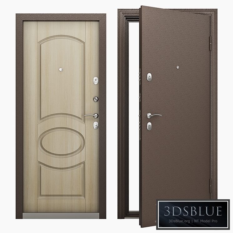 Entrance door Torex Series Delta-100 D16