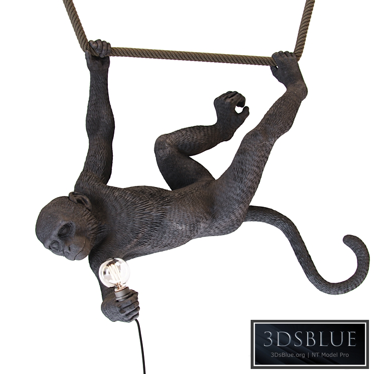 Monkey lamp swing