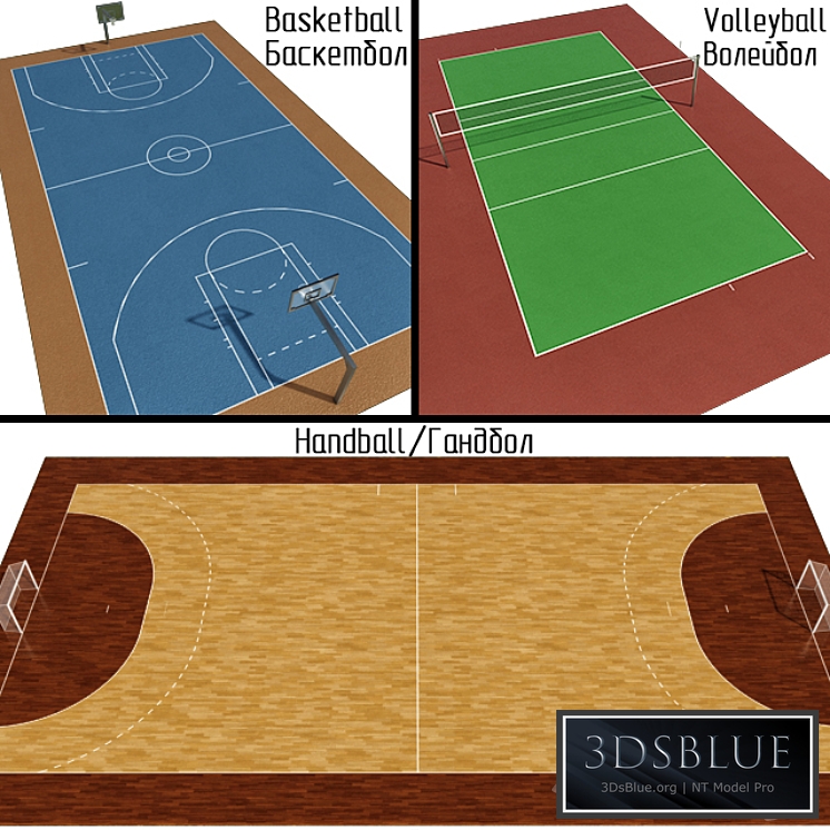 Handball / Basketball / Volleyball