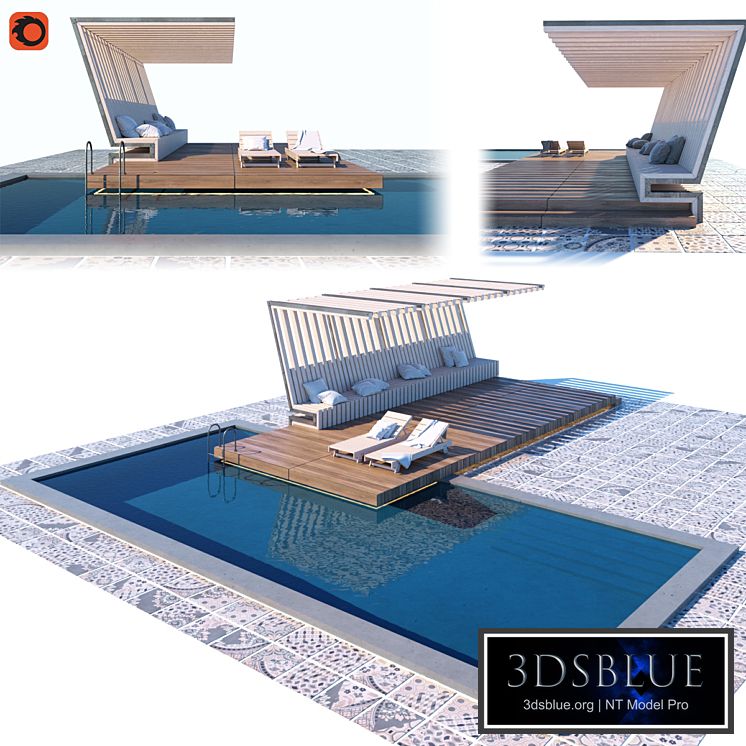 Pool with terrace and canopy